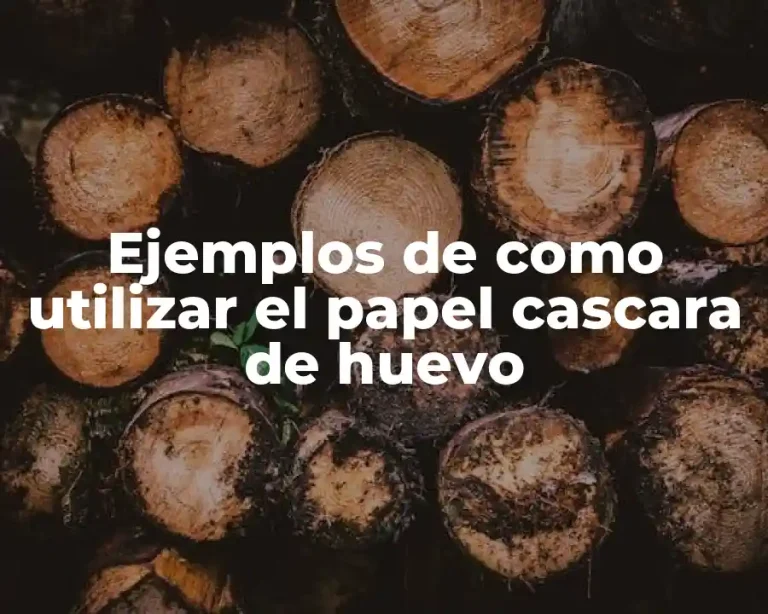 Ejemplos de como utilizar el papel cascara de huevo