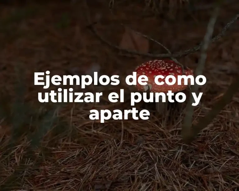 Ejemplos de como utilizar el punto y aparte