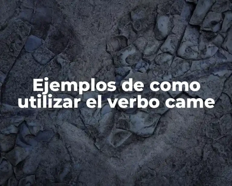 Ejemplos de como utilizar el verbo came