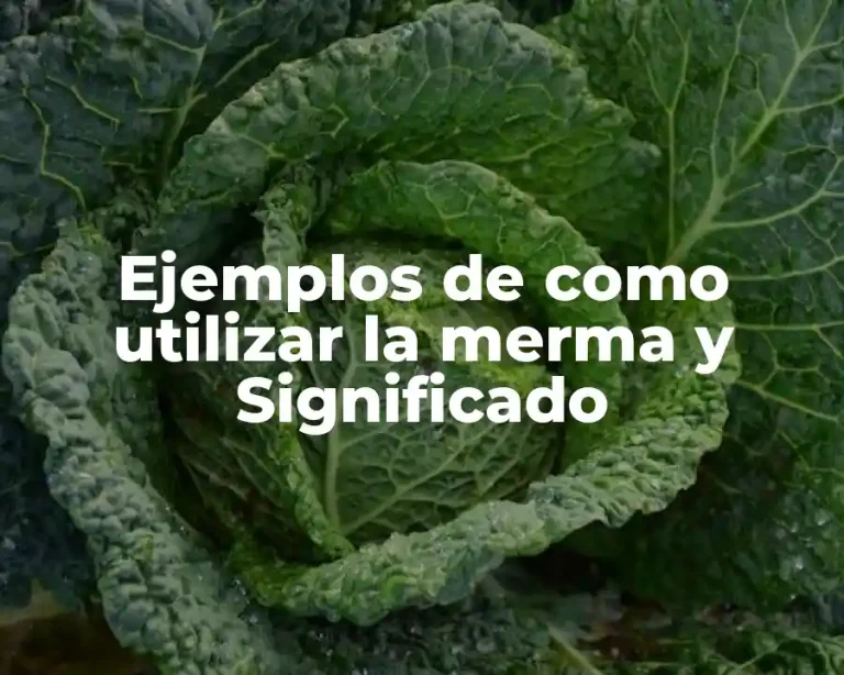 Ejemplos de como utilizar la merma y Significado