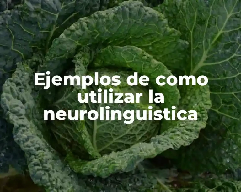 Ejemplos de como utilizar la neurolinguistica