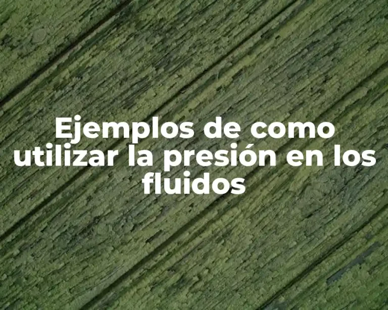 Ejemplos de como utilizar la presión en los fluidos