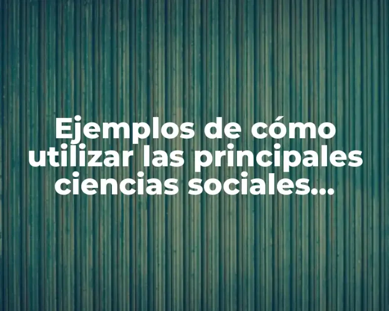 Ejemplos de cómo utilizar las principales ciencias sociales actualmente