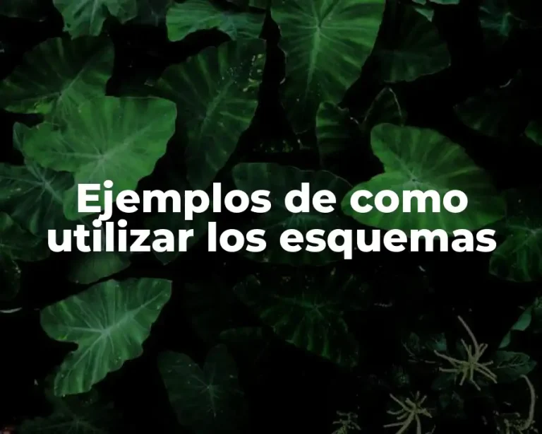 Ejemplos de como utilizar los esquemas