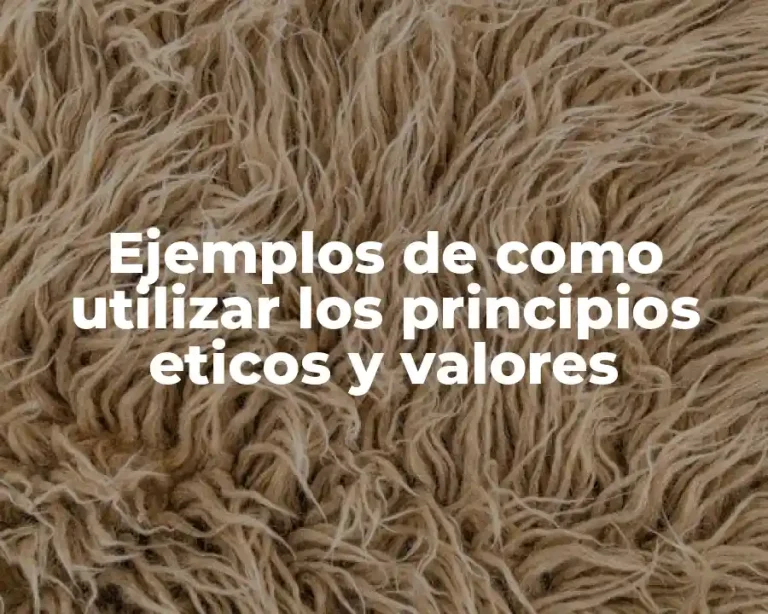 Ejemplos de como utilizar los principios eticos y valores
