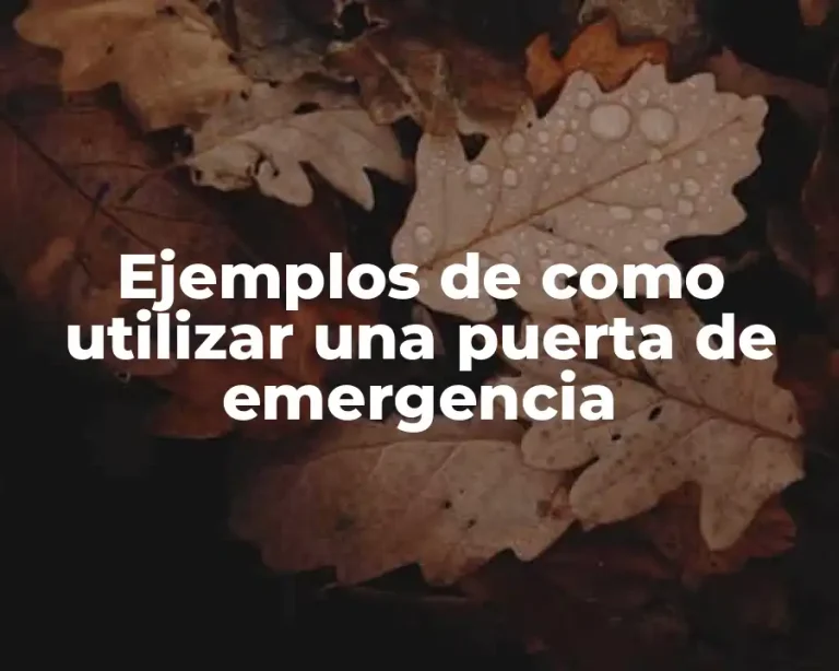 Ejemplos de como utilizar una puerta de emergencia