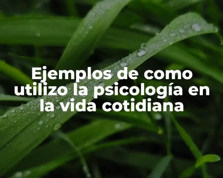 Ejemplos de como utilizo la psicología en la vida cotidiana