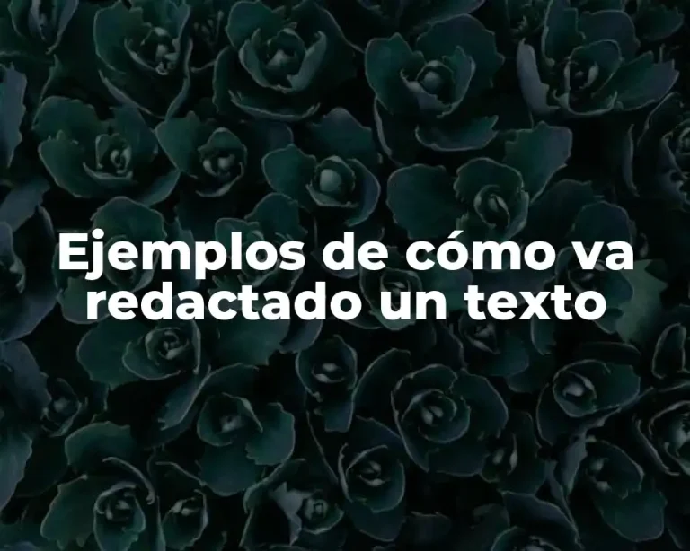 Ejemplos de cómo va redactado un texto