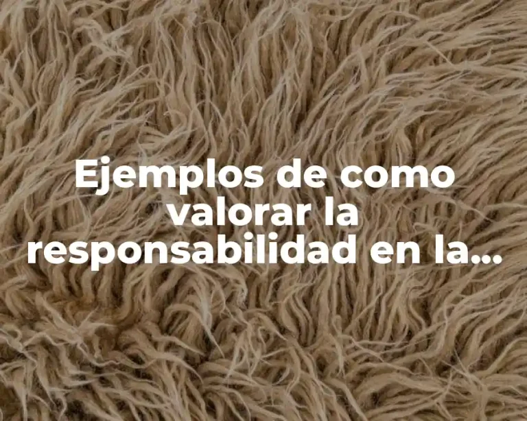 Ejemplos de como valorar la responsabilidad en la escuela