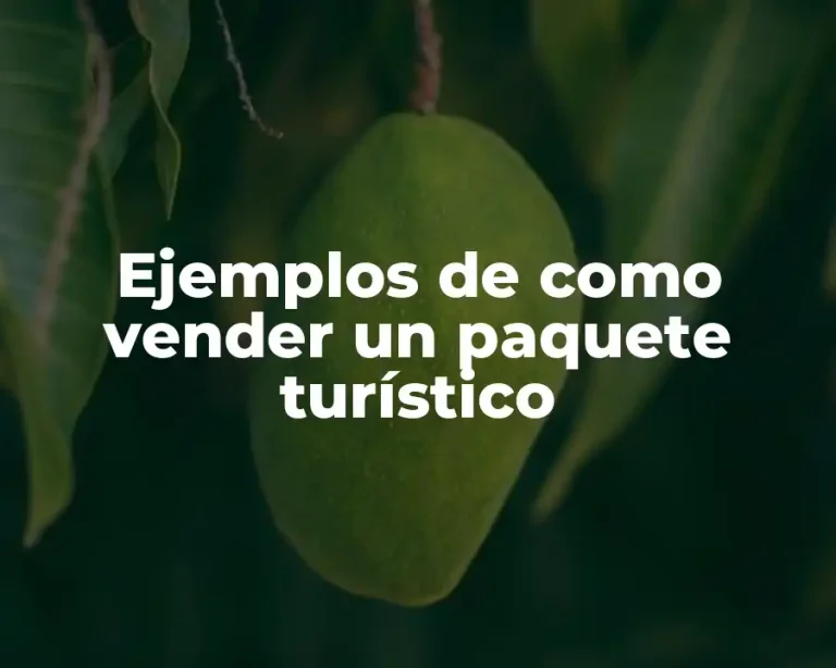 Ejemplos de como vender un paquete turístico