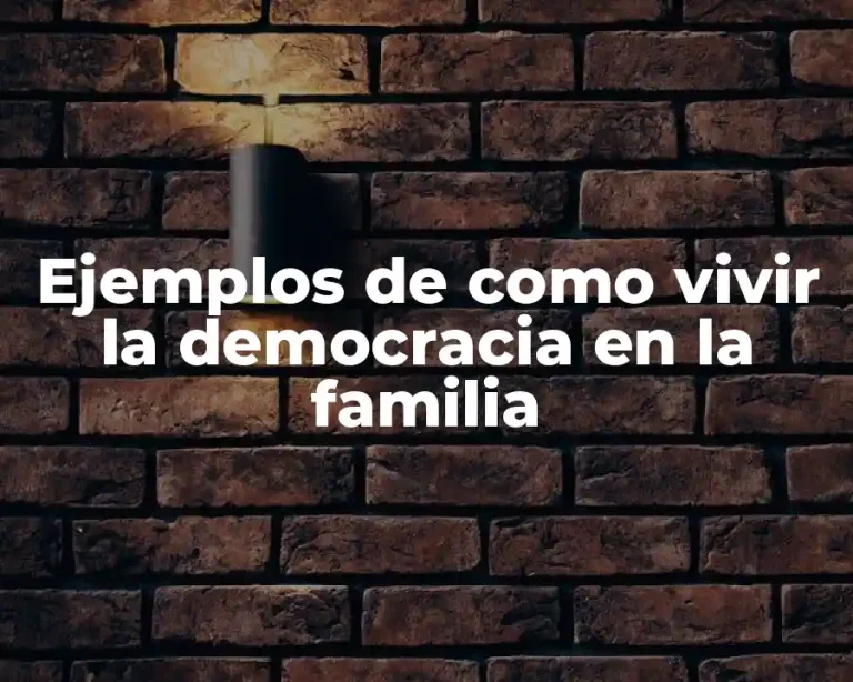 Ejemplos de como vivir la democracia en la familia