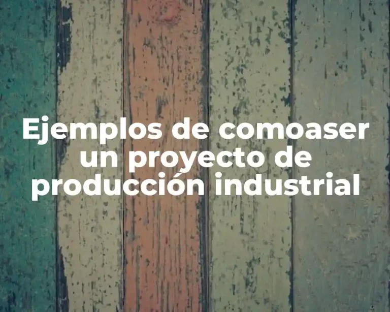 Ejemplos de comoaser un proyecto de producción industrial