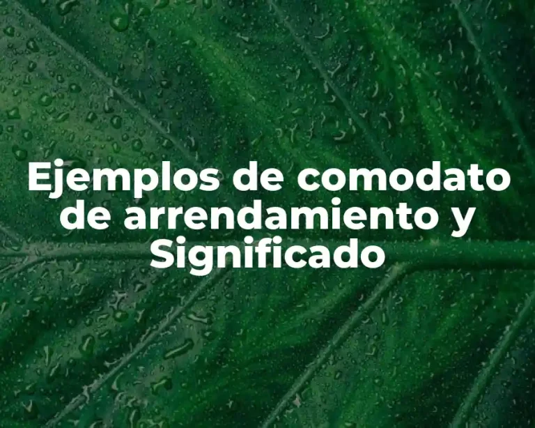 Ejemplos de comodato de arrendamiento y Significado
