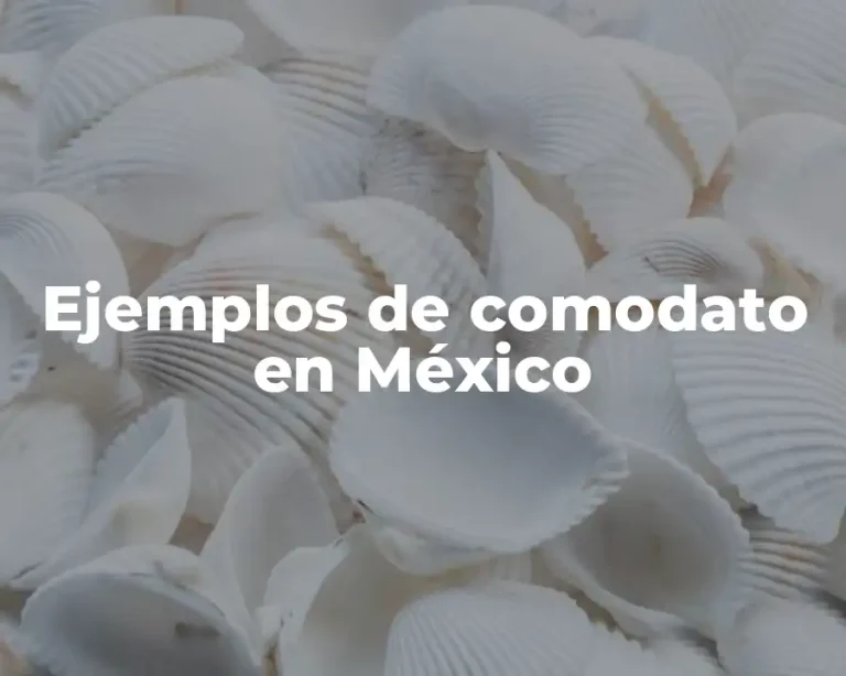 Ejemplos de comodato en México