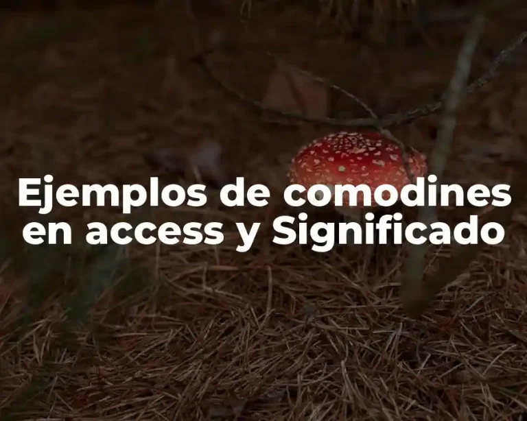 Ejemplos de comodines en access y Significado