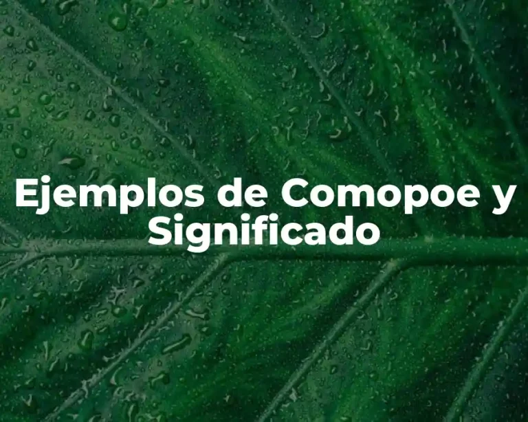 Ejemplos de Comopoe y Significado