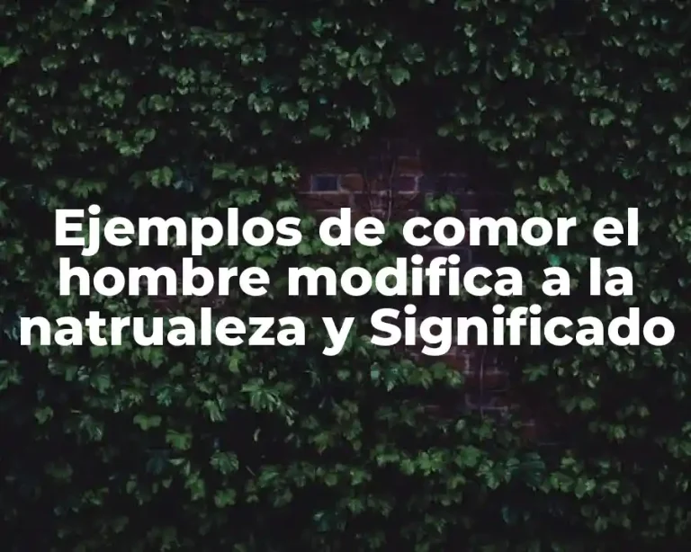 Ejemplos de comor el hombre modifica a la natrualeza y Significado