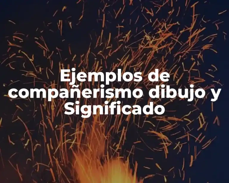 Ejemplos de compañerismo dibujo y Significado