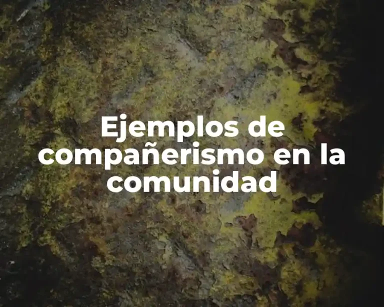 Ejemplos de compañerismo en la comunidad
