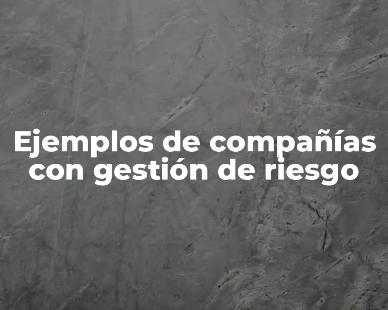Ejemplos de compañías con gestión de riesgo