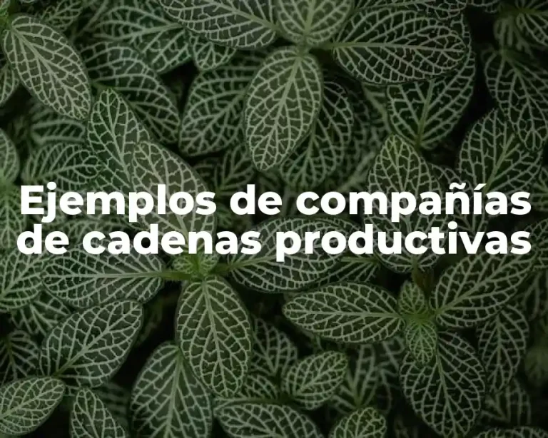 Ejemplos de compañías de cadenas productivas