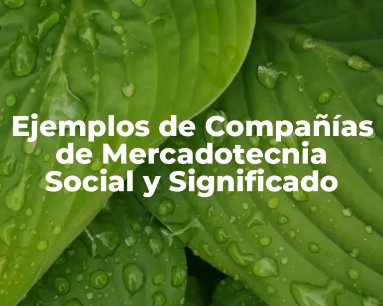 Ejemplos de Compañías de Mercadotecnia Social y Significado