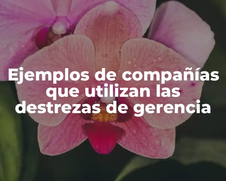 Ejemplos de compañías que utilizan las destrezas de gerencia