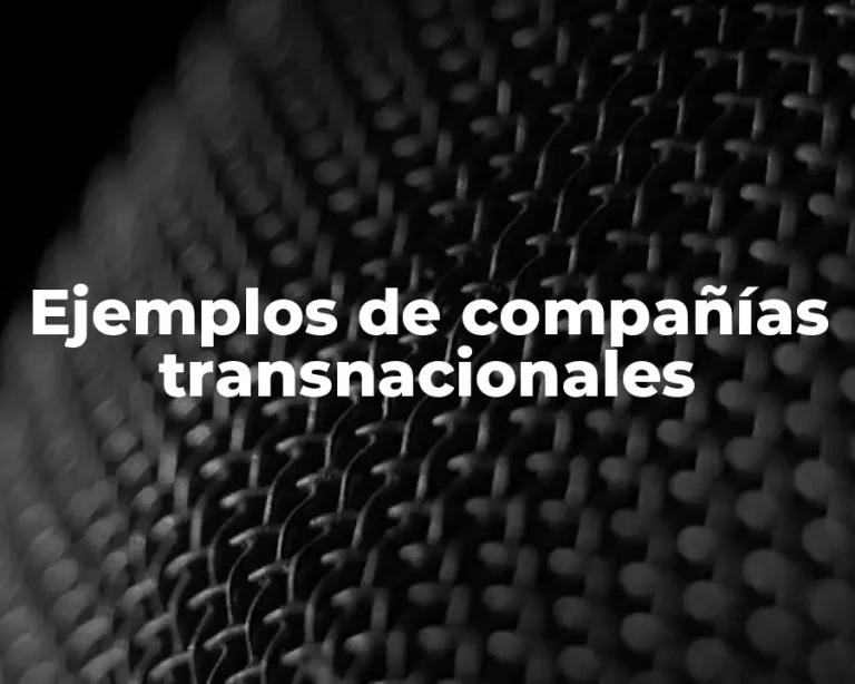 Ejemplos de compañías transnacionales