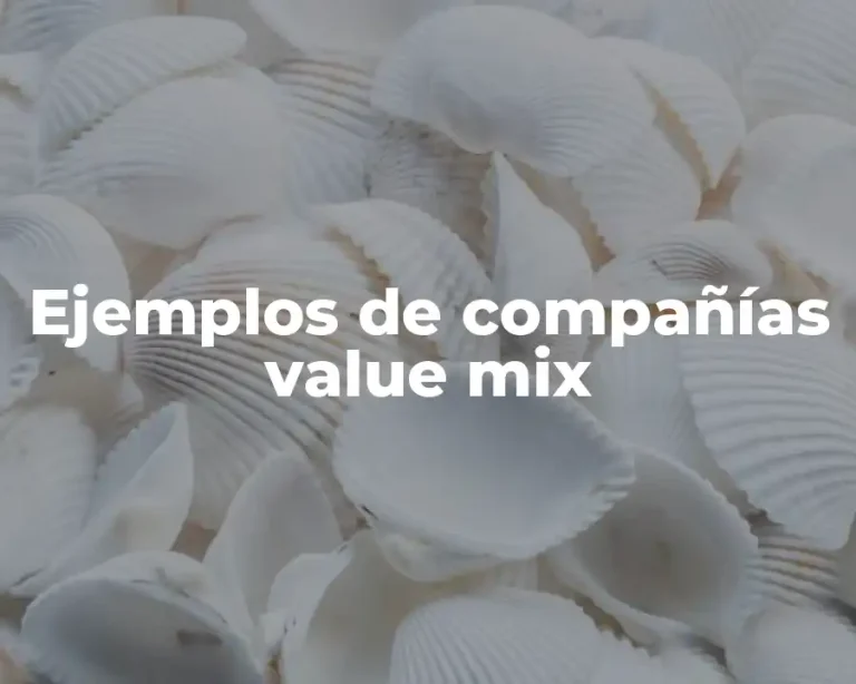 Ejemplos de compañías value mix