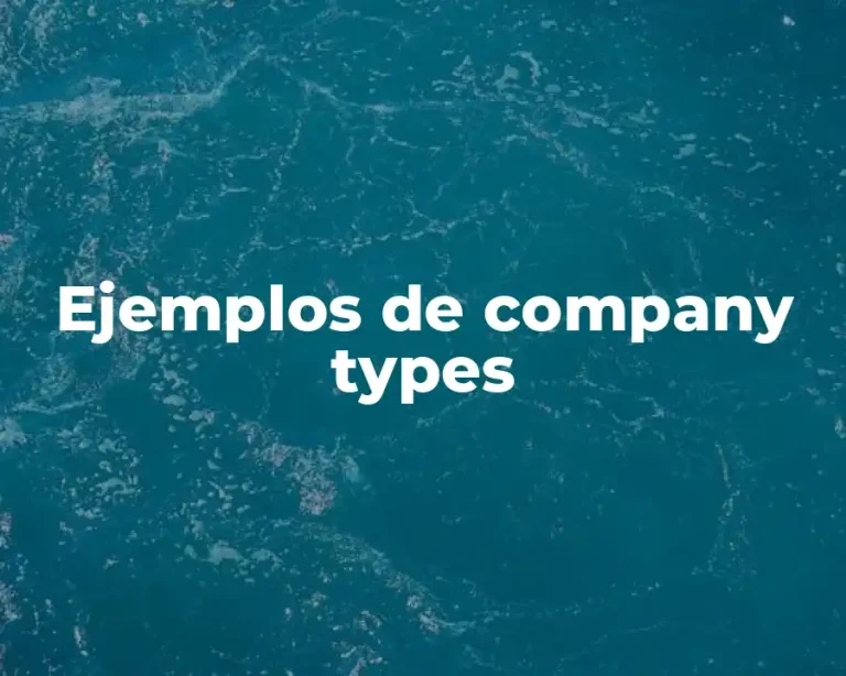Ejemplos de company types