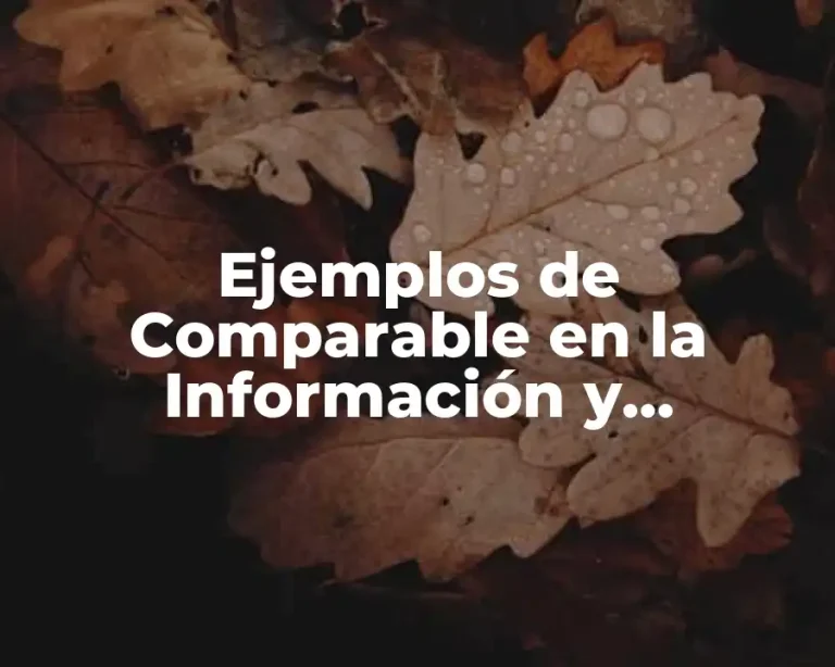 Ejemplos de Comparable en la Información y Significado