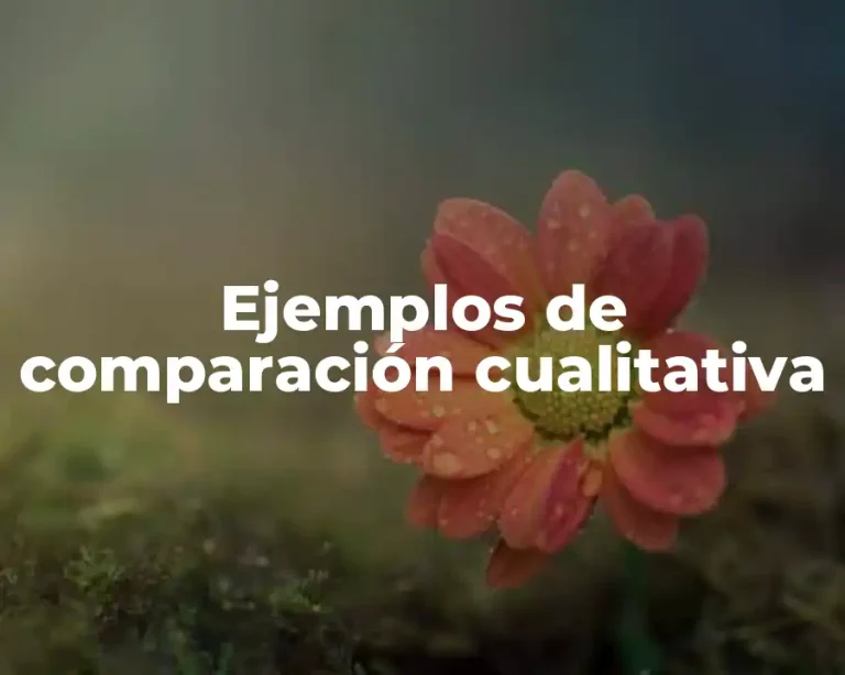 Ejemplos de comparación cualitativa