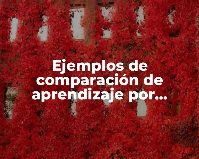 Ejemplos de comparación de aprendizaje por descubrimiento con el