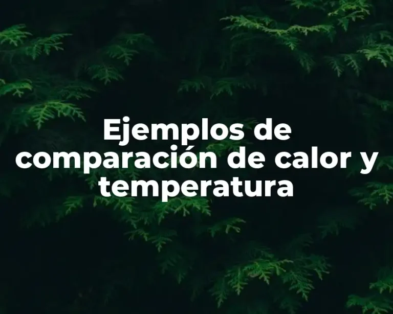 Ejemplos de comparación de calor y temperatura