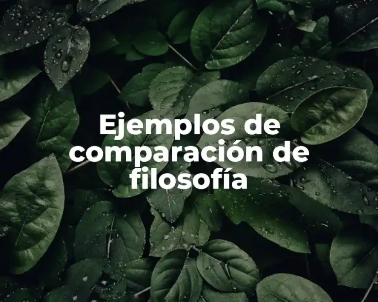 Ejemplos de comparación de filosofía