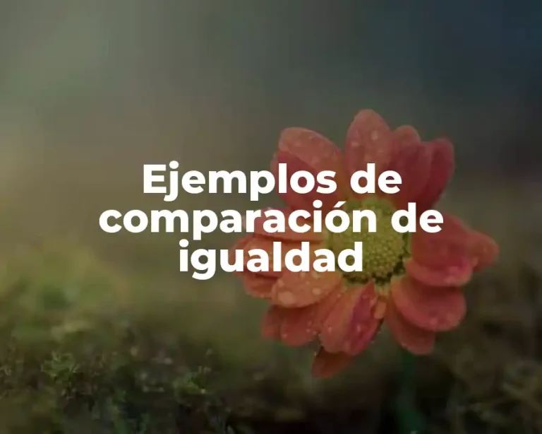 Ejemplos de comparación de igualdad