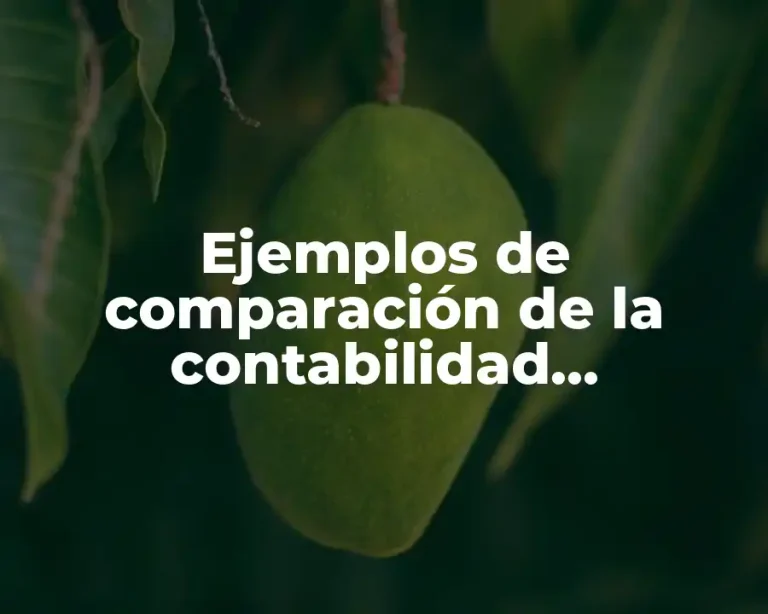 Ejemplos de comparación de la contabilidad administrativa y financiera y Significado