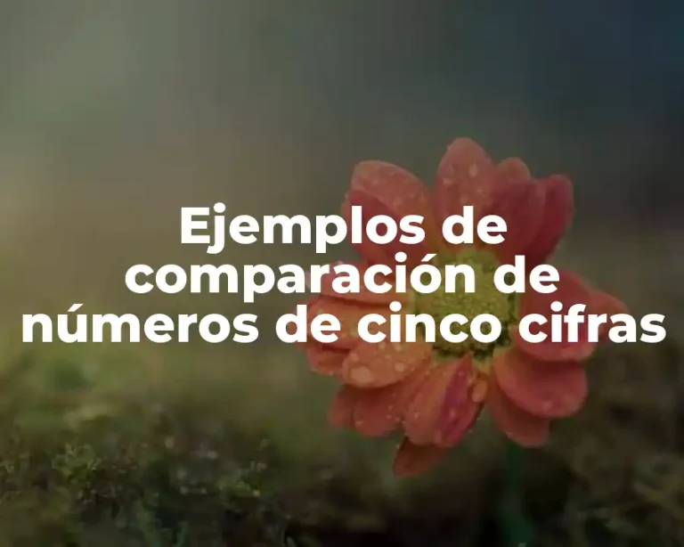 Ejemplos de comparación de números de cinco cifras