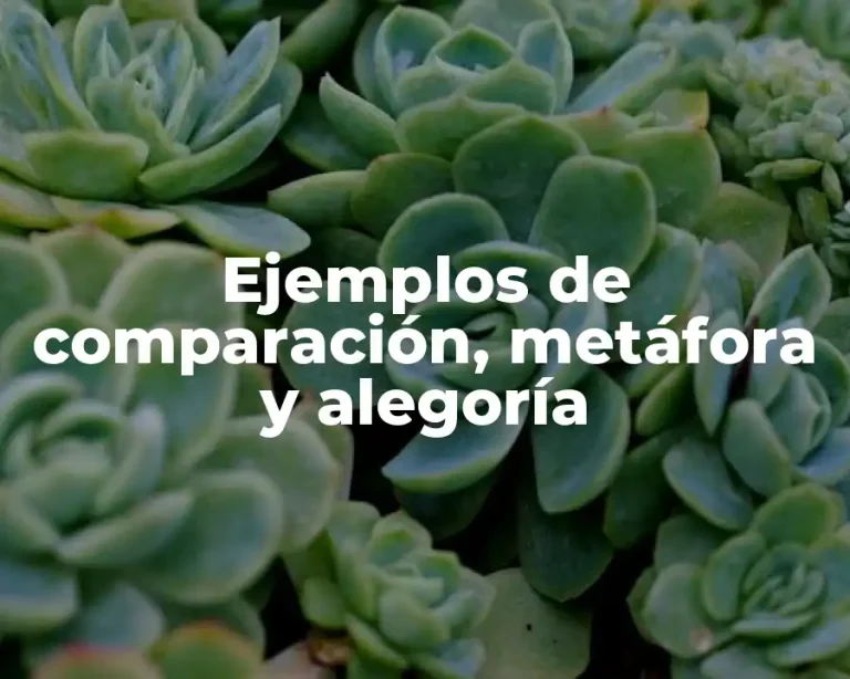 Ejemplos de comparación, metáfora y alegoría