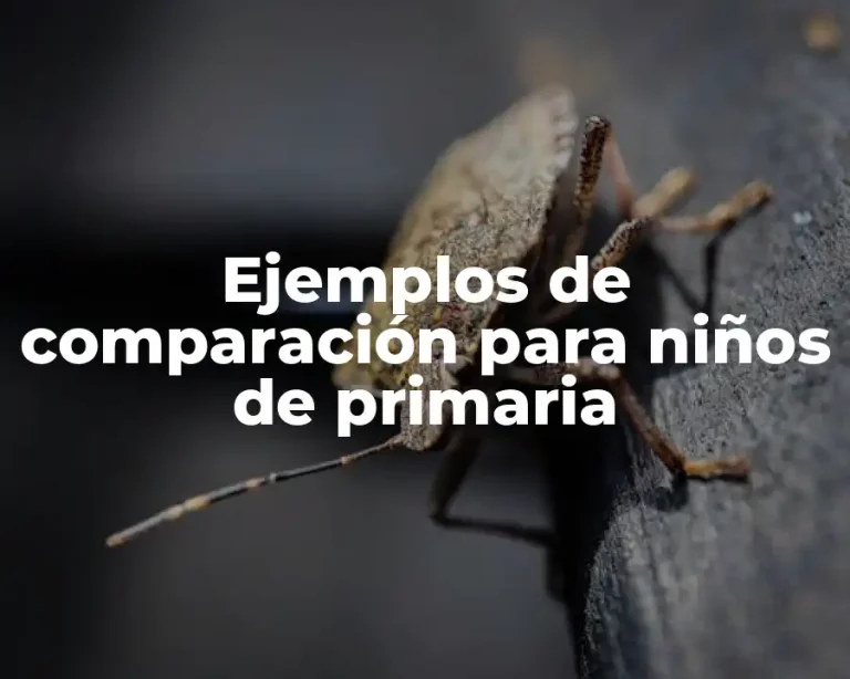 Ejemplos de comparación para niños de primaria