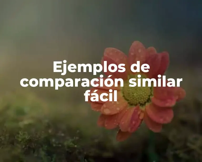 Ejemplos de comparación similar fácil