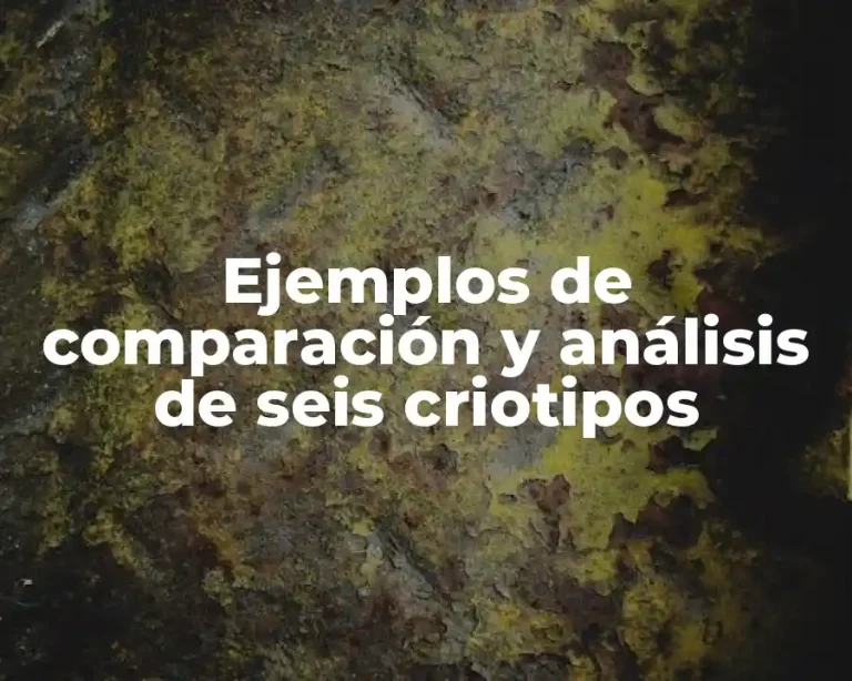 Ejemplos de comparación y análisis de seis criotipos