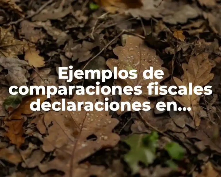 Ejemplos de comparaciones fiscales declaraciones en impuestos