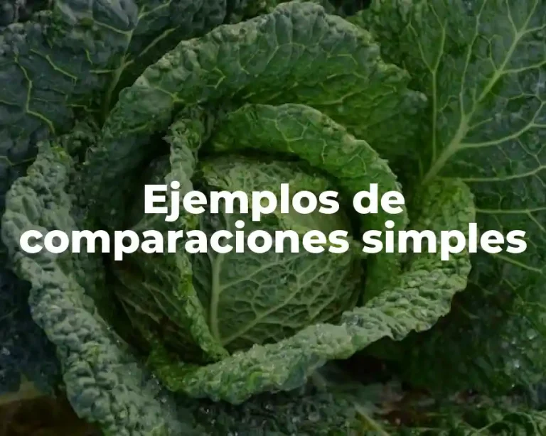 Ejemplos de comparaciones simples