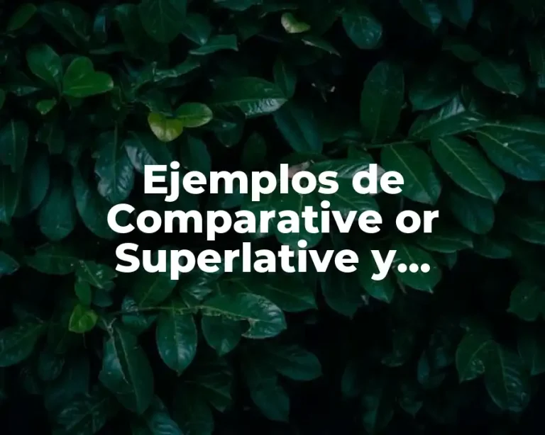 Ejemplos de Comparative or Superlative y Significado