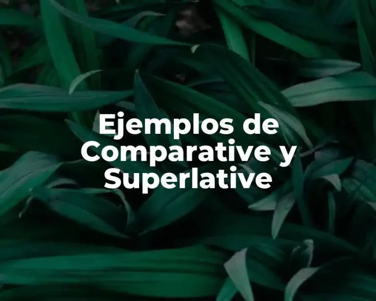Ejemplos de Comparative y Superlative
