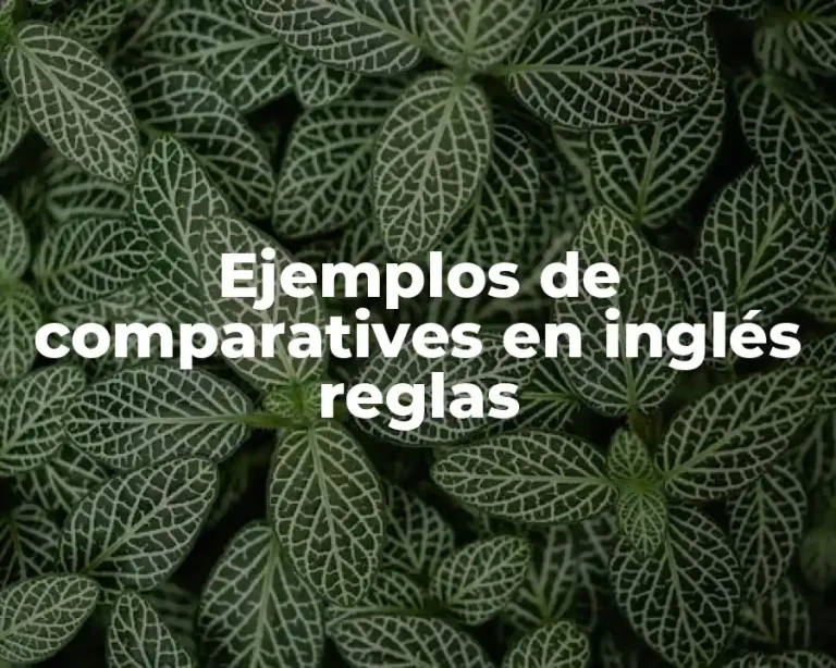 Ejemplos de comparatives en inglés reglas