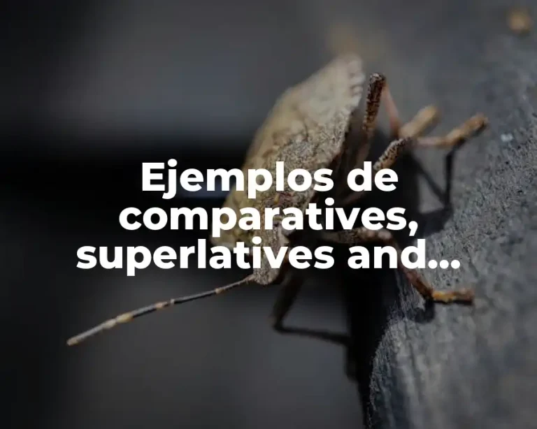 Ejemplos de comparatives, superlatives and equatives