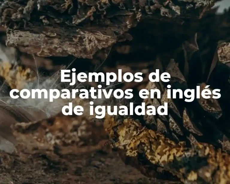 Ejemplos de comparativos en inglés de igualdad