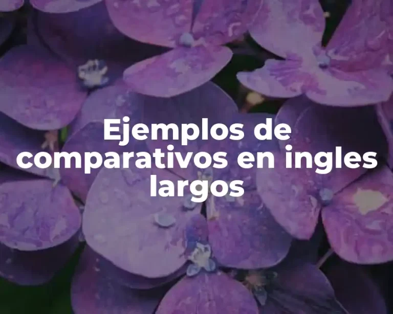 Ejemplos de comparativos en ingles largos